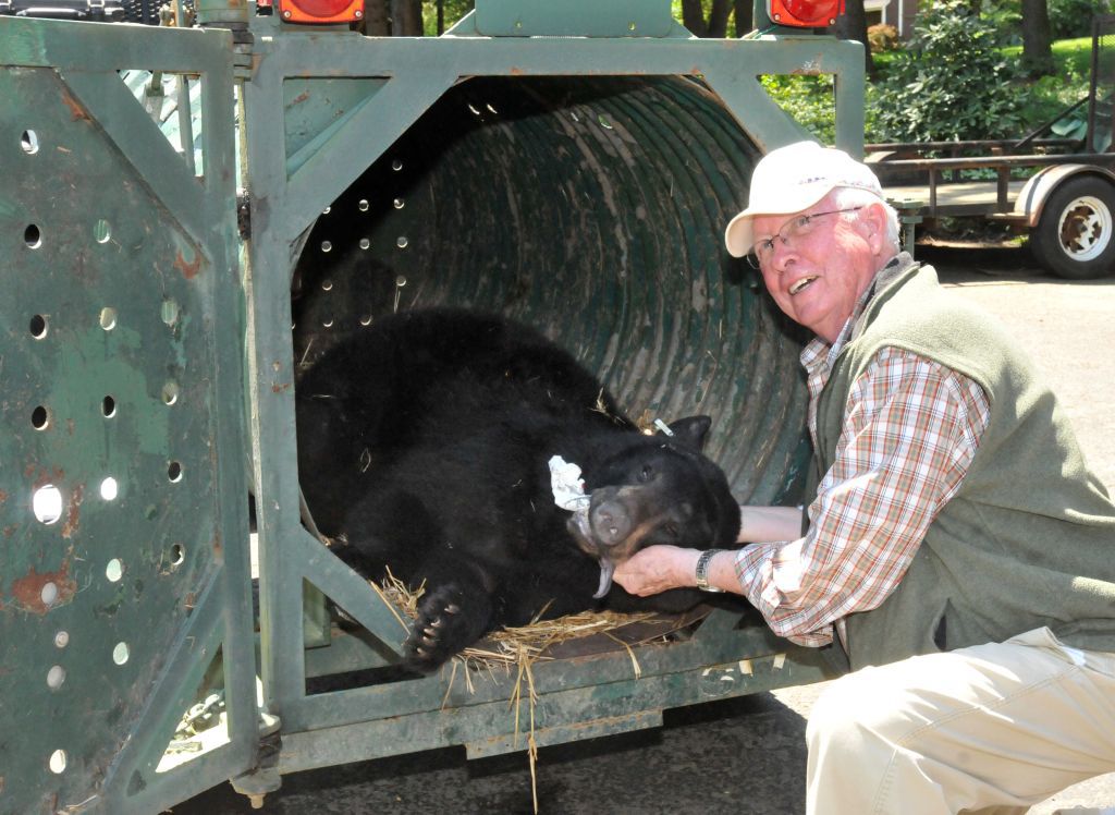Gazette Photo Gallery: Ursine visitor sent back to forest